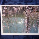 Swans (FS-SW)