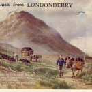 Good Luck from Londonderry Vintage Postcard VP-1485