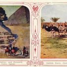 Dual View CAIRO EGYPT Vintage Postcard VP-6237