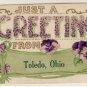 Greetings From TOLEDO, OHIO Vintage Postcard VP-2343