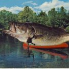 Giant Fish in Canoe Vintage Comic Postcard VP-5909