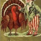 Young Uncle Sam & Turkey Thanksgiving Potcard VP-6599