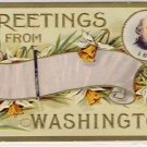 Greetings From Washington Vintage Postcard VP-1551