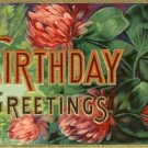 Vintage FLORAL Embossed Birthday Greeting Postcard-M320