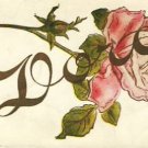 Antique Name DORA Vintage Greeting Postcard VP-6008