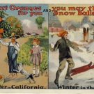 Winter in CA-Winter in East Vintage Postcard VP-5177
