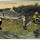 Men Carry GIANT FISH Vintage Comic Postcard VP-6222