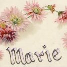 Antique Name MARIE Vintage Greeting Postcard VP-5455