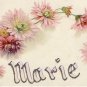 Antique Name MARIE Vintage Greeting Postcard VP-5455