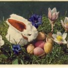 Gyger Furry Bunny w/Eggs/Flowers Easter Postcard VP4094