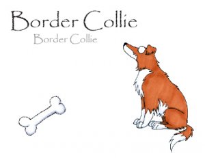 Border Collie Note Card