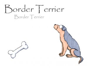 Border Terrier Note Card