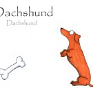 Dachshund Note Card