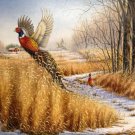 Pheasant Wildlife Cross Stitch Pattern***L@@K***