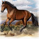 American Quarter Horse Cross Stitch Pattern***L@@K***