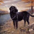 Black Lab SunRise Cross Stitch Pattern***LOOK***
