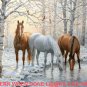 Wild Winter Trio Cross Stitch Pattern***L@@K***