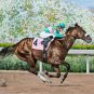 Zenyatta At The Track Cross Stitch Pattern***LOOK***