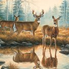 Deer Reflections Cross Stitch Pattern***L@@K***