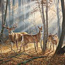 Woodland Splendor Deer Cross Stitch Pattern***LOOK***