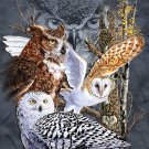 Owls Of The World Cross Stitch Pattern***LOOK*** Owls Of The World Cross Stitch Pattern***LOOK***