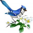 Majestic Blue Jay Flowers Cross Stitch Pattern***LOOK***