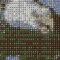 Soaring Eagle Over The Mountains Cross Stitch Pattern Needlework DMC DIY***L@@K***