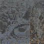 Owls Of The World Cross Stitch Pattern***LOOK***