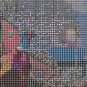 Wild Pheasants Cross Stitch Pattern***L@@K***