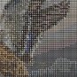 Outback Mallards Cross Stitch Pattern***LOOK***