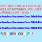 Headless Horseman Cross Stitch Pattern***L@@K***