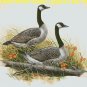 Canada Geese Cross Stitch Pattern ***L@@K***
