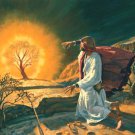 Moses Burning Bush Cross Stitch Pattern***LOOK***