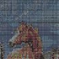Wild Mountian Horses Cross Stitch Pattern***L@@K***