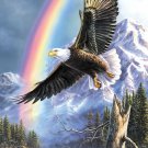 Eagle Rainbow Cross Stitch Pattern***LOOK***