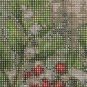Cardinal Red Bird Holly Berrys Cross Stitch Pattern***LOOK***