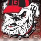 Georgia Bulldogs Cross Stitch Pattern***LOOK***