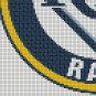 Baseball Tampa Bay Rays Cross Stitch Pattern***LOOK***
