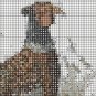 Ring Necked Pheasant Cross Stitch Pattern***L@@K***