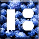 YAMMIE BLUEBERRY KITCHEN DECOR 2 HOLE DECORA ROCKER OUTLET AND SINGLE WALL SWITCH PLATE COVER COMBO