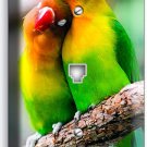 SWEET LOVEBIRDS PARROTS LOVE BIRDS PHONE TELEPHONE WALL COVER ROOM HOME HD DECOR SWEET LOVEBIRDS PARROTS LOVE BIRDS PHONE TELEPHONE WALL COVER ROOM HOME HD DECOR