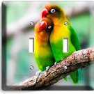 COLORFUL LOVEBIRDS PARROTS LOVE BIRDS DOUBLE LIGHT SWITCH WALL COVER ROOM DECOR