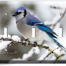BLUE JAY BIRD WINTER SNOW BLUEBIRD LIGHT TRIPLE SWITCH WALL COVER NEW ROOM DECOR