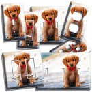 CUTE PUPPY DOG BEACH RED BANDANA LIGHT SWITCH OUTLET WALL PLATE COVER ROOM DECOR CUTE PUPPY DOG BEACH RED BANDANA LIGHT SWITCH OUTLET WALL PLATE COVER ROOM DECOR