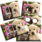 CUTE KITTEN and LABRADOR PUPPY SWITCH OUTLET WALL PLATE COVER BEDROOM ROOM DECOR CUTE KITTEN and LABRADOR PUPPY SWITCH OUTLET WALL PLATE COVER BEDROOM ROOM DECOR