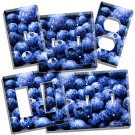 BLUEBERRY BERRIES KITCHEN DINING ROOM DECOR LIGHT SWITCH OUTLET WALL PLATE COVER BLUEBERRY BERRIES KITCHEN DINING ROOM DECOR LIGHT SWITCH OUTLET WALL PLATE COVER