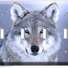 WILD GRAY WOLF W BLUE EYES SNOW QUADRO LIGHT SWITCH WALL PLATE COVER HOME DECOR WILD GRAY WOLF W BLUE EYES SNOW QUADRO LIGHT SWITCH WALL PLATE COVER HOME DECOR