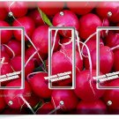 RED RADISHES TRIPLE GFCI LIGHT SWITCH WALL PLATE COVER VEGETARIAN KITCHEN DECOR RED RADISHES TRIPLE GFCI LIGHT SWITCH WALL PLATE COVER VEGETARIAN KITCHEN DECOR