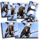 AMERICAN BALD EAGLE IN THE WILD LIGHT SWITCH OUTLET WALL PLATES HOME ROOM DECOR AMERICAN BALD EAGLE IN THE WILD LIGHT SWITCH OUTLET WALL PLATES HOME ROOM DECOR