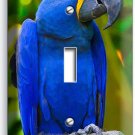 HYACINTH TROPICAL BLUE MACAW BIRD PARROT SINGLE LIGHT SWITCH PLATE ROOM HD DECOR HYACINTH TROPICAL BLUE MACAW BIRD PARROT SINGLE LIGHT SWITCH PLATE ROOM HD DECOR